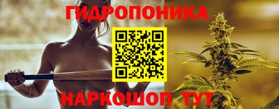 apvp Славгород