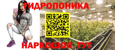 Альфа ПВП Сланцы
