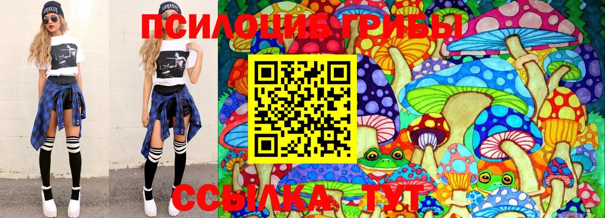 как найти наркотики  Псилоцибиновые грибы Psilocybine cubensis  Строитель  Вход с VPN  Галлюциногенные грибы прущие грибы 